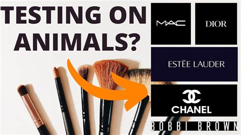 does dior use animal testing